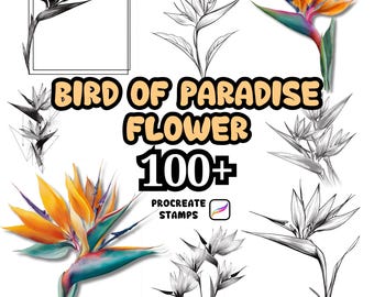 Procreate Flower Brushes, 100+ Bird Of Paradise Flower Procreate Brushes, Floral Procreate, Procreate Brushes, Plants, Wild Flowers