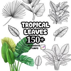 May include: An image featuring a collection of tropical leaves in various styles. The image includes both detailed line drawings and vibrant, colored illustrations of leaves. Text reads "TROPICAL LEAVES 150+ PROCREATE STAMPS."