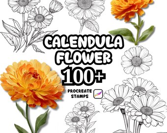 Procreate Flower Brushes, 100+ Calendula Flower Procreate Stamps, Floral Procreate, Botanical, Nature, Background, Wreath, Bouquet, Flower