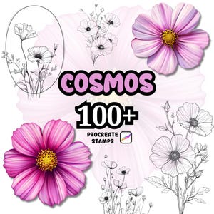 May include: Digital artwork showcasing cosmos flowers in different styles. The image includes two vibrant pink flowers with yellow centres, and several black and white line drawings of cosmos. Text reads "COSMOS 100+ PROCREATE STAMPS".