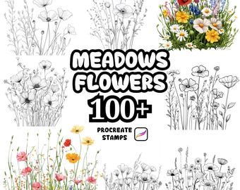 Pincéis de Flores do Prado para Procreate, Mais de 100 Carimbos de Flores do Prado para Procreate, Procreate Botânico, Flores do Prado, Natureza Selvagem, Flores Silvestres
