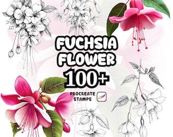 Procreate Flower Brushes, 100+ Fuchsia Flower Procreate Brushes, Floral Procreate, Procreate Brushes, Plants, Procreate Fuchsia Flower