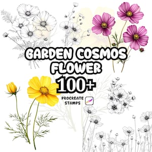 Könnte beinhalten: Ein Bild mit Illustrationen von Gartenkosmosblumen. Das Bild zeigt sowohl farbige als auch schwarz-weiße Zeichnungen der Blumen, mit dem Text "GARDEN COSMOS FLOWER 100+ PROCREATE STAMPS".