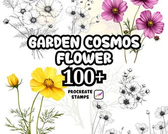 Pincéis de flores para Procreate, mais de 100 carimbos de flores cosmos para Procreate, florais, botânicos, natureza, fundo, guirlanda, buquê