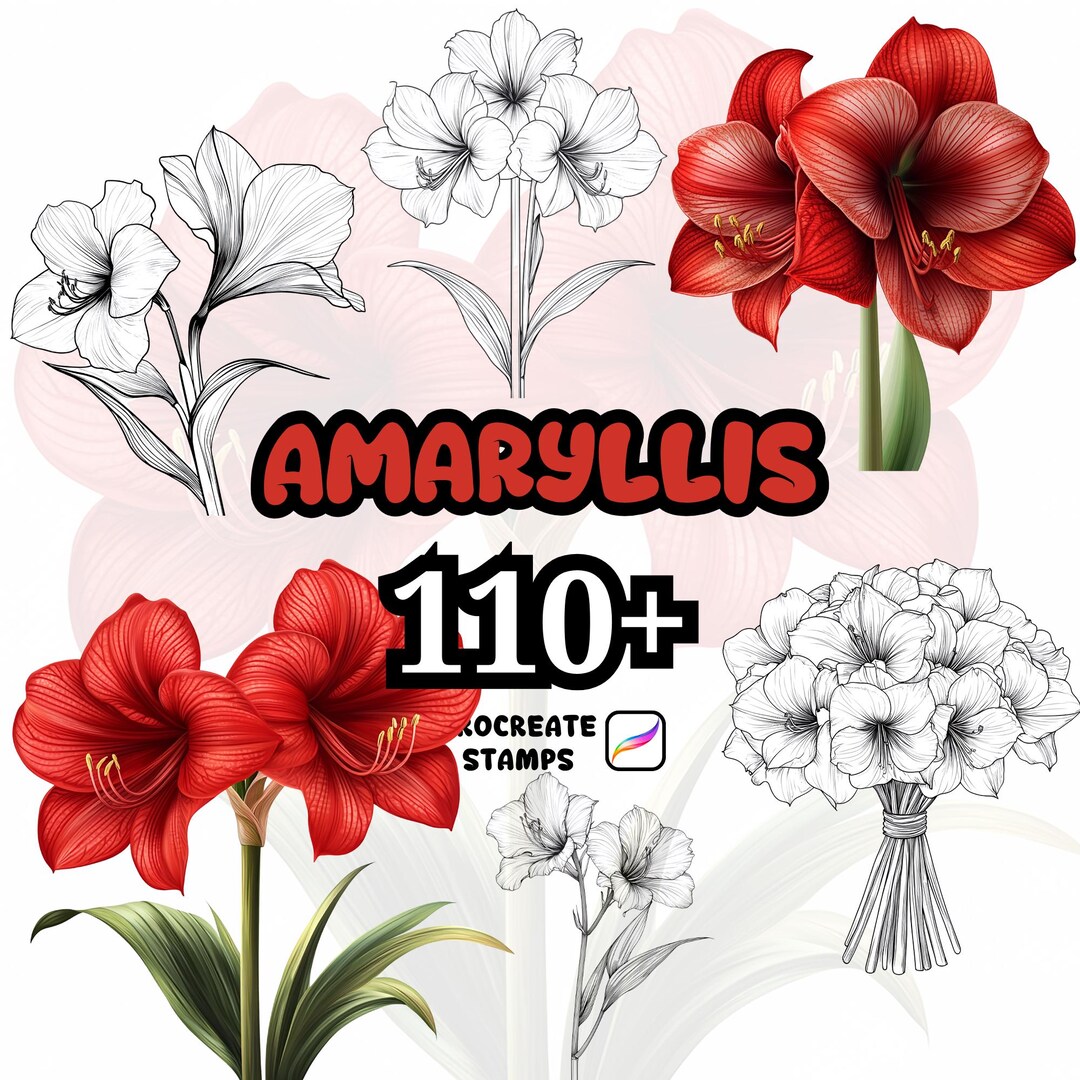 Procreate Flower Brushes, 110+ Amaryllis Flower Procreate Brushes ...