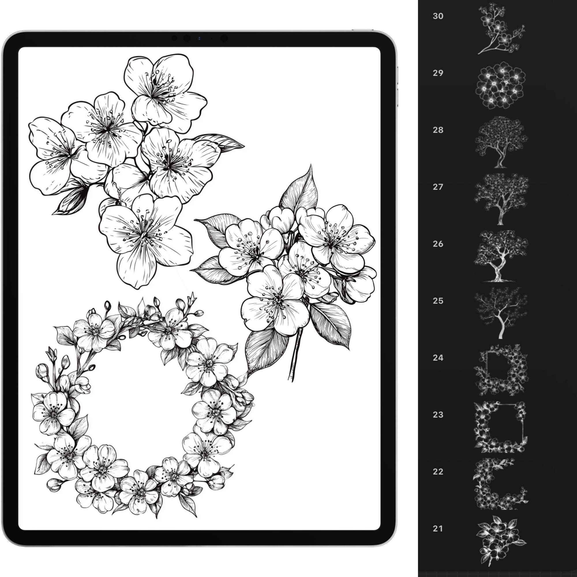 Procreate Flower Brushes, 100+ Cherry Blossom Flower Procreate Stamps ...