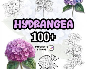 Procreate Flower Brushes, 100+ Hydrangea Flower Procreate Brushes, Floral Procreate, Procreate Brushes, Plants, Wild Flower Hydrangea Flower