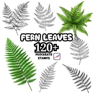 Könnte beinhalten: Eine Auswahl an Farnblatt-Illustrationen in Grün und Schwarzweiß. Der Text "FERN LEAVES 120+ PROCREATE STAMPS" ist in der Mitte des Bildes zusammen mit einem Procreate App-Symbol zu sehen.