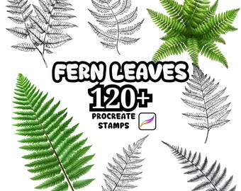 Procreate Fern Leaves Brushes, 100+ Fern Leaves Procreate Stamps, Botanical Procreate, Leaves Procreate Brushes, Plants, Fern Wild Nature