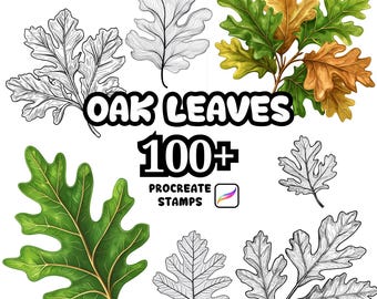 Procreate Oak Leaves Brushes, 100+ Oak Leaves Procreate Stamps, Botanical Procreate, Leaves Procreate Brushes, Plants, Oak Wild Nature