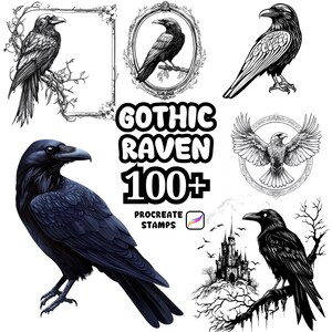 Può includere: Una collezione di illustrazioni di corvi in vari stili, tra cui disegni dettagliati e arte digitale. Il testo "Gothic Raven 100+ Procreate Stamps" è ben visibile. Le immagini presentano corvi in diverse pose e ambientazioni, con un tema gotico.