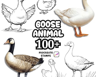 Procreate Animals Brushes, 100+ Goose Bird Procreate Brushes, Woodland Animals Procreate, Wild Animals, Farm Animals, Cartoon Goose Birds