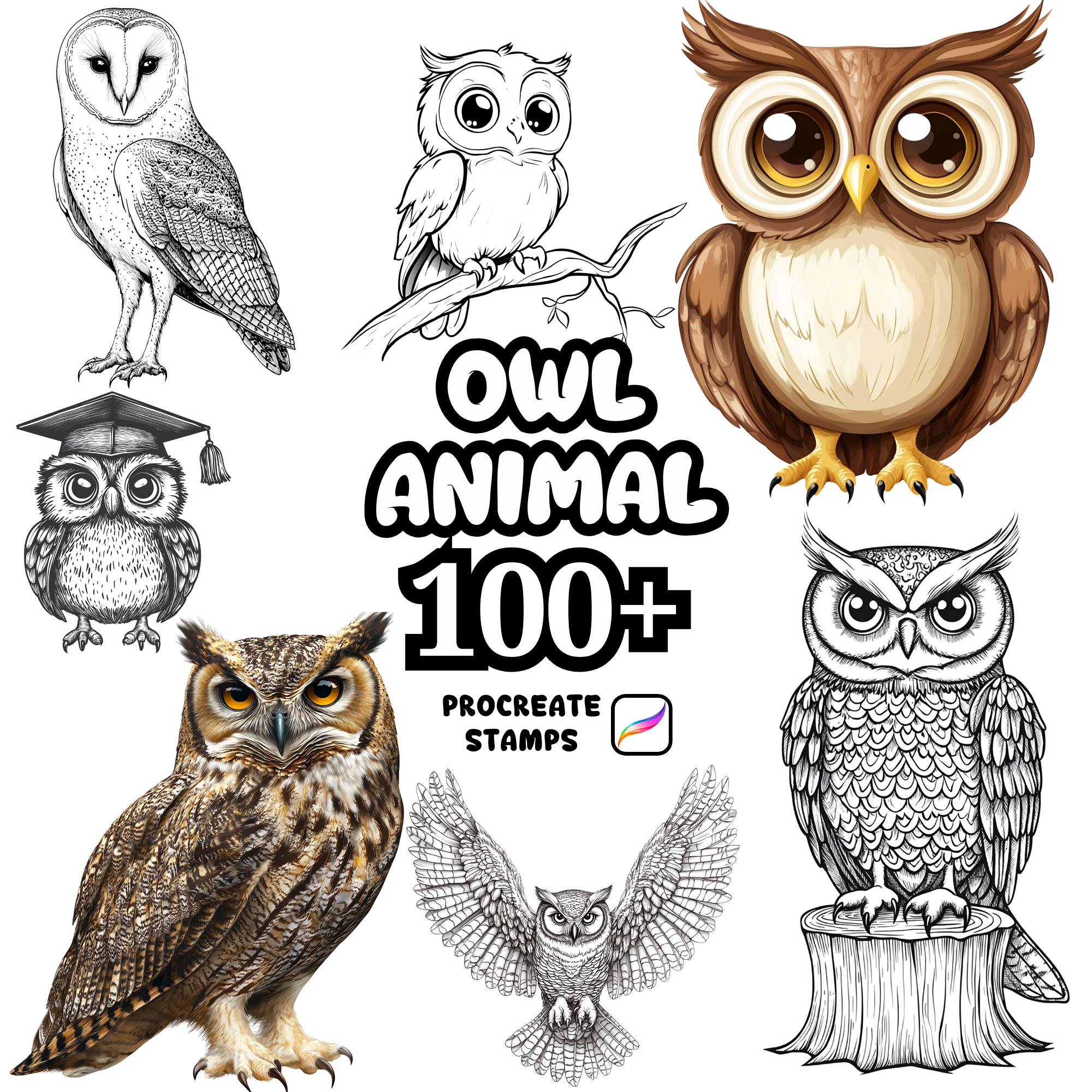 Procreate Animals Brushes, 100+ Owl Bird Animal Procreate Brushes, Woodland Animals Procreate, Wild 