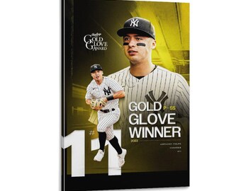 Anthony Volpe  art sports poster  Wall Art Picture Painting Poster Canvas Print Artworks Bedroom Living Room Decor
