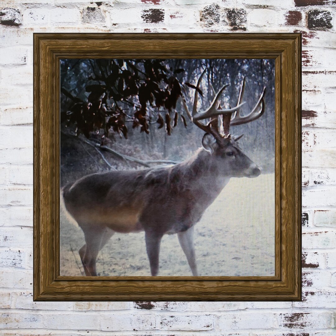 Whitetail Buck Wall Art Printable Rustic Deer Photography Hunting Cabin ...