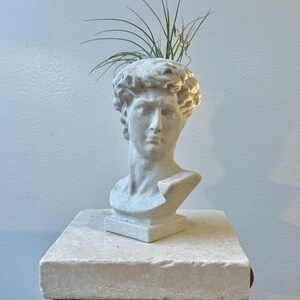 May include: A white bust of David, used as a planter, with a plant sprouting from the top. The bust is made of a textured, light-coloured material and sits on a square, stone-like base. The base rests on a metal stand.