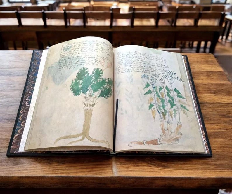 May include: An open book with aged pages, featuring botanical illustrations in green and tan. The drawings depict plants with detailed roots and foliage, accompanied by handwritten text. The book is bound in black with decorative marbled endpapers, resting on a wooden table.