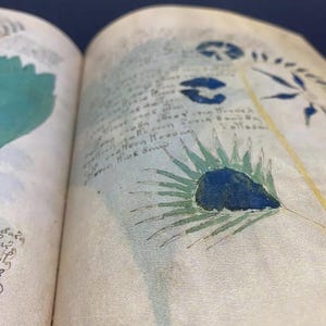 May include: Open book pages with illustrations and handwritten text. The artwork features blue and green botanical drawings and script on aged paper. The pages are slightly yellowed, suggesting age.