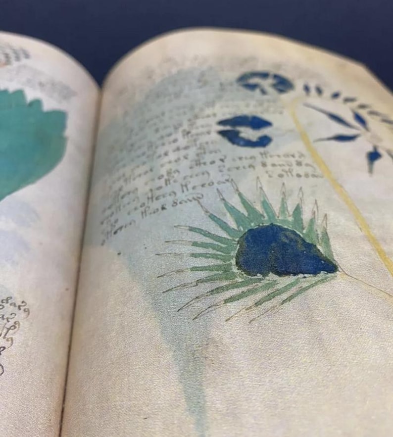 May include: Open book pages with illustrations and handwritten text. The artwork features blue and green botanical drawings and script on aged paper. The pages are slightly yellowed, suggesting age.