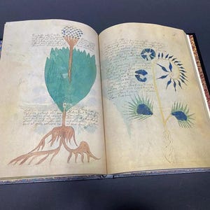 May include: Open book with aged pages featuring colorful illustrations of plants and handwritten text. One page shows a large teal leaf with a brown root system and a small creature. The opposite page has more plant drawings.
