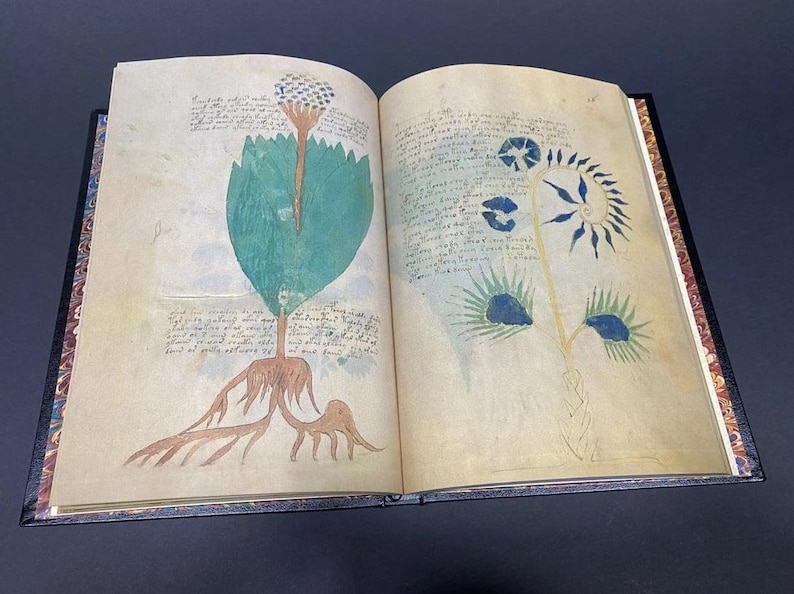 May include: Open book with aged pages featuring colorful illustrations of plants and handwritten text. One page shows a large teal leaf with a brown root system and a small creature. The opposite page has more plant drawings.