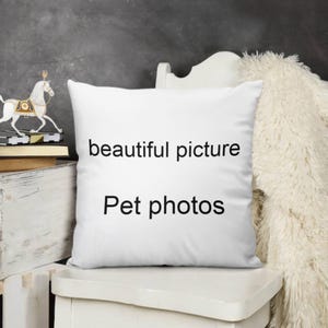 May include: White square pillow with the text "beautiful picture" and "Pet photos" in black. The pillow is on a white chair. A decorative white horse is on a stack of books to the left.