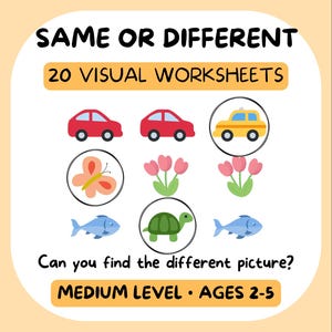 May include: A worksheet titled SAME OR DIFFERENT 20 VISUAL WORKSHEETS featuring rows of icons including red cars, a yellow taxi, a butterfly, pink tulips, blue fish, and a green turtle. Text asks Can you find the different picture? MEDIUM LEVEL AGES 2-5.