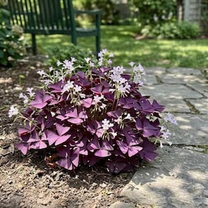 May include: A set of three ceramic mugs with a speckled, matte finish. The mugs are in shades of cream, light gray, and dark gray. Each mug has a simple, minimalist design, perfect for coffee or tea.