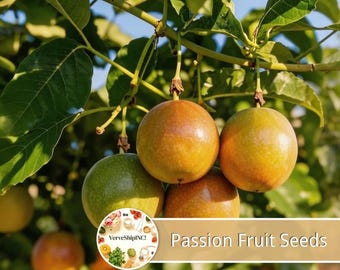 50pcs Passion Fruit Seeds for Home Gardening | Tropical Edible Fruit
