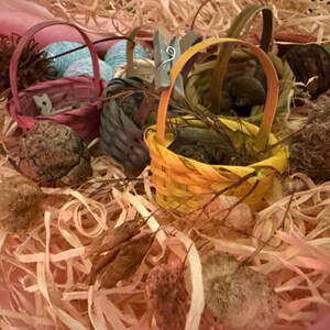 May include: A collection of small, colorful woven baskets with handles, nestled in a bed of light brown shredded paper. The baskets are in shades of pink, blue, and yellow, and are filled with natural elements like dried seed pods and yarn.