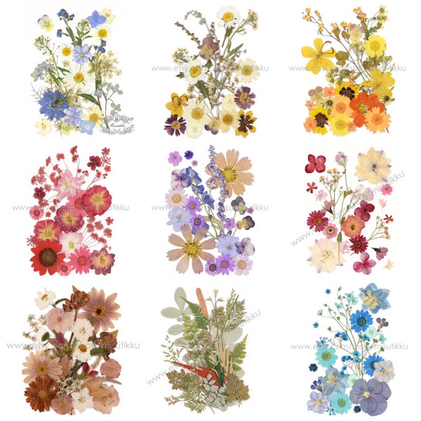 Dried Flowers Bulk Etsy