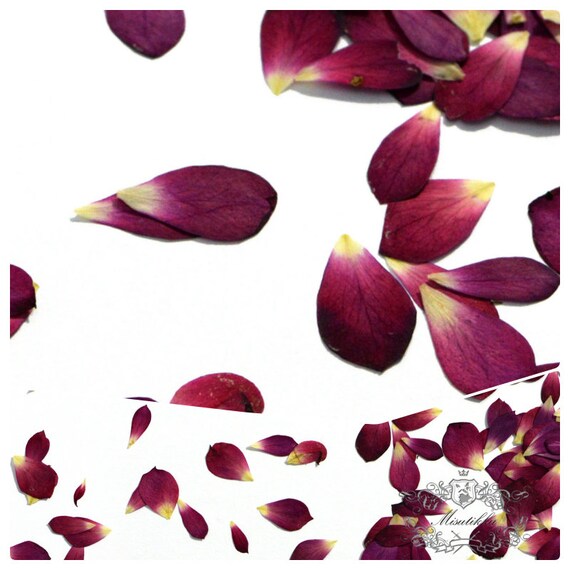 Natural secs Pétales de Rose Mariage Confettis Décoration pétales de rose 