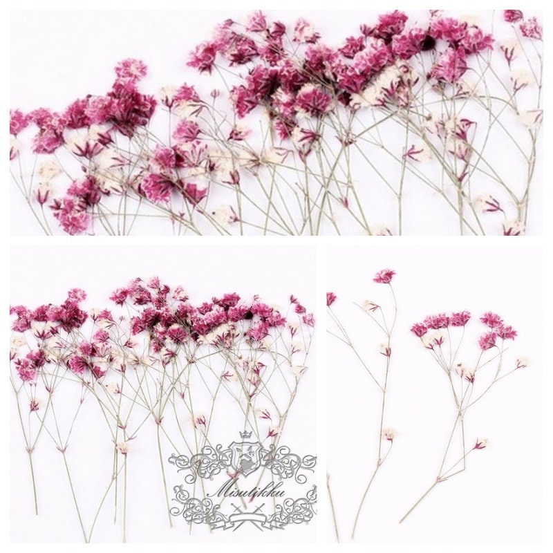 Pink Gypsophilia Baby's Breath 18in | by SaveOnCrafts.com