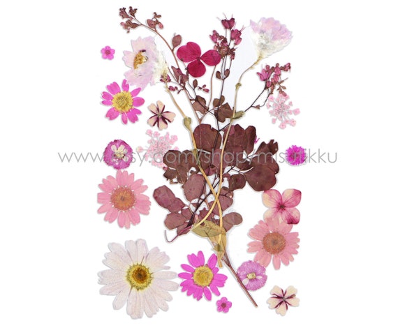 20 PCS Pack 6-9CM Pressed Flower Stems, Dried Pressed Pink Flowers