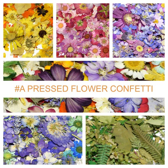 REAL PRESSED FLOWERS,mix