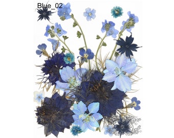 Real Blue Flowers Etsy