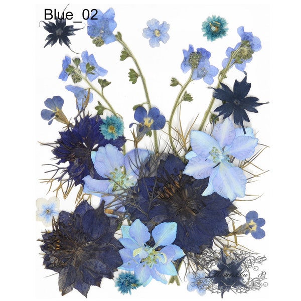 Blue Dried Flowers Etsy