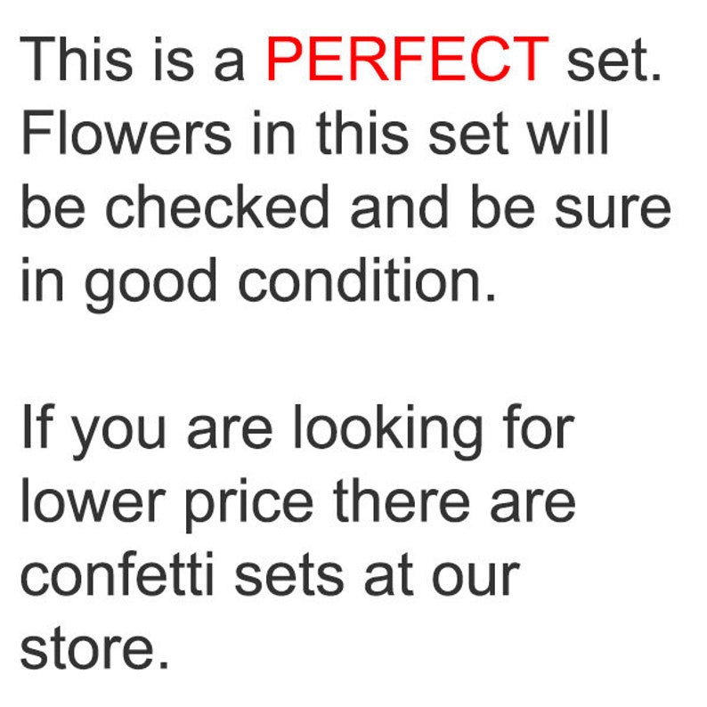 PF/_FL02G 20 PCS Olive Green Daisies Pressed Flat Daisy Flowers real Dry Daisy Flower Floral invitation Card Paper Goods Bookmark Envelope