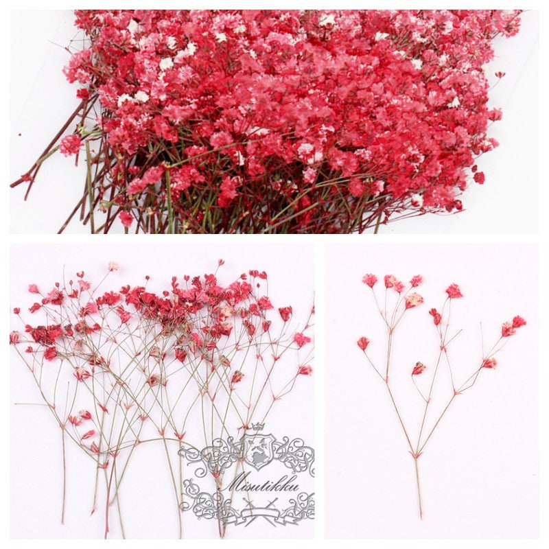Red Babies Breath Mini Artificial Gypsophila Flowers - Favour This