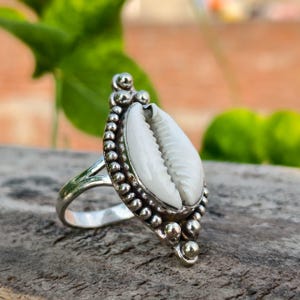 May include: A silver ring featuring a white seashell centerpiece. The ring has a detailed, textured band and a decorative border of small silver beads around the shell. The seashell is a natural, organic shape, adding a unique touch to the jewelry.