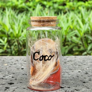 Hand-painted pet memorial jar with realistic portrait on UV-resistant glass, featuring an airtight seal for storing fur or ashes.