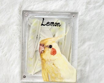 Caja de recuerdo de pelo de amigo emplumado 100 % pintada a mano, retrato conmemorativo personalizado para mascotas