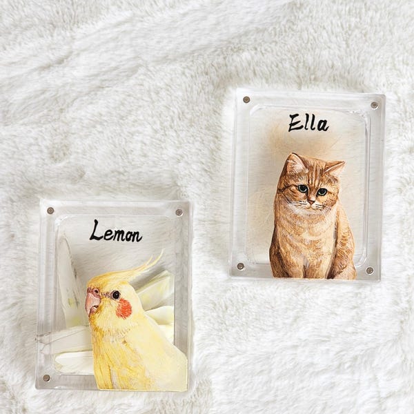 Hand Painted Pet Hair Keepsake Box, Custom Pet Portrait Fur Memorial, Dog Cat Loss