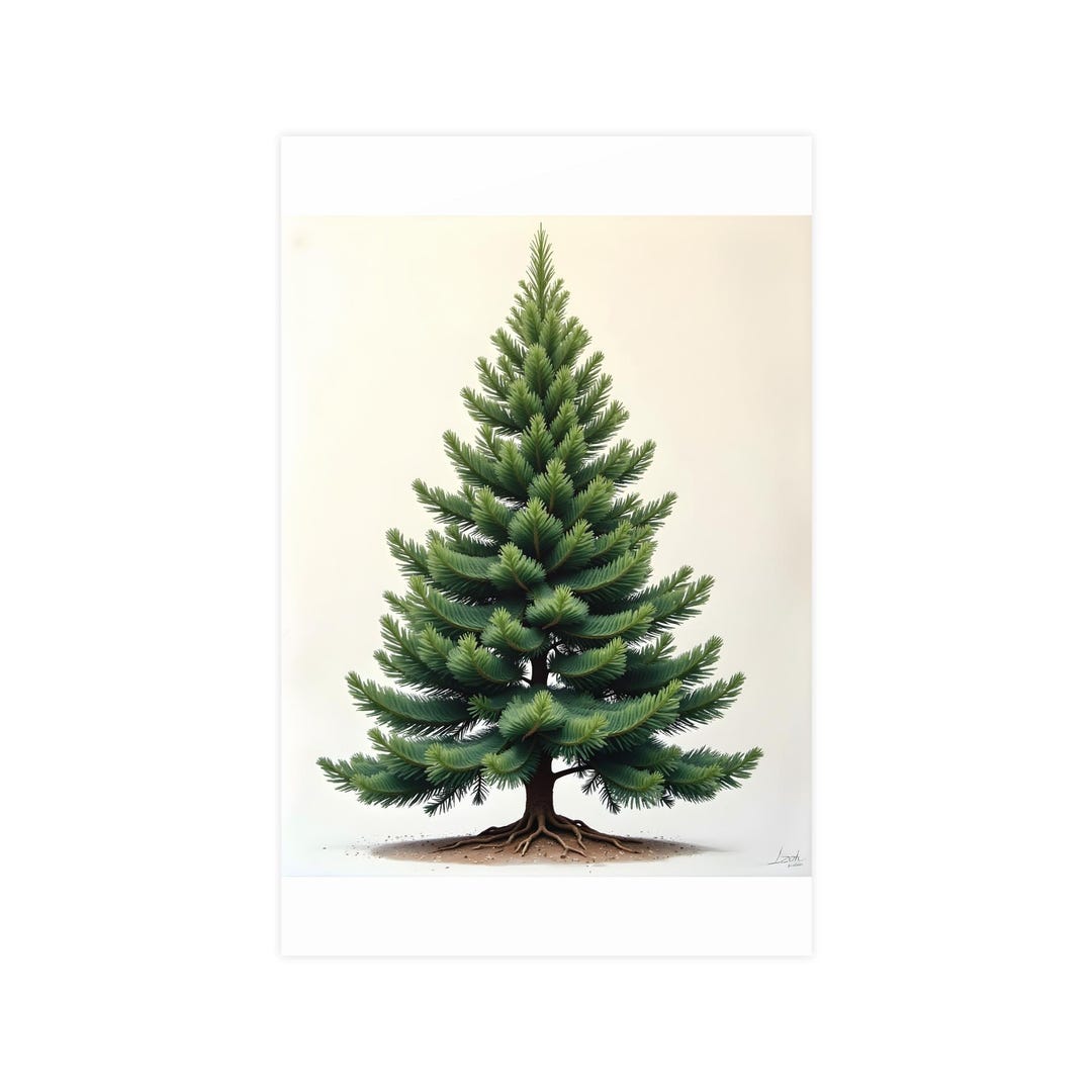 Evergreen Tree Art Print, Living Room Wall Art, Botanical Illustration ...