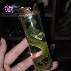 May include: A clear glass vial containing a preserved green snake with its mouth open. The top of the vial is sealed with black wax and wrapped in brown twine. The text ThinkpinkByAimeeBeth is visible in the upper left corner of the image.