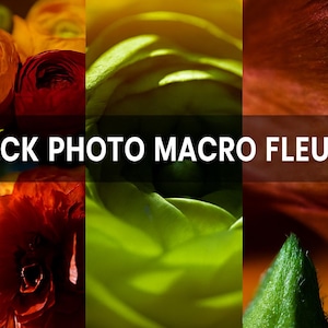 May include: A macro photography pack featuring vibrant flowers in shades of orange, yellow, and red. The image is divided into three vertical sections, showcasing detailed close-ups of petals and leaves. Text overlay reads "PACK PHOTO MACRO FLEURS".