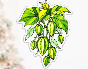 Melothria Scabra Acrylic Suncatcher, Hanging Vine Window Decor for Gardeners and Plant Moms, fruit vine ornament, cucamelon suncatcher