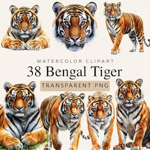 Imágenes prediseñadas de tigre de Bengala en acuarela, 38 imágenes PNG, ilustración de animales salvajes de safari (descarga digital)