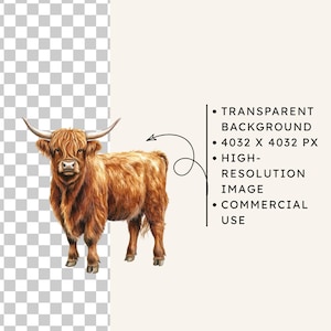Watercolor Highland Cow Clipart, 45 PNG Images, Farm Animal Illustration Collection (Digital Download) image 5