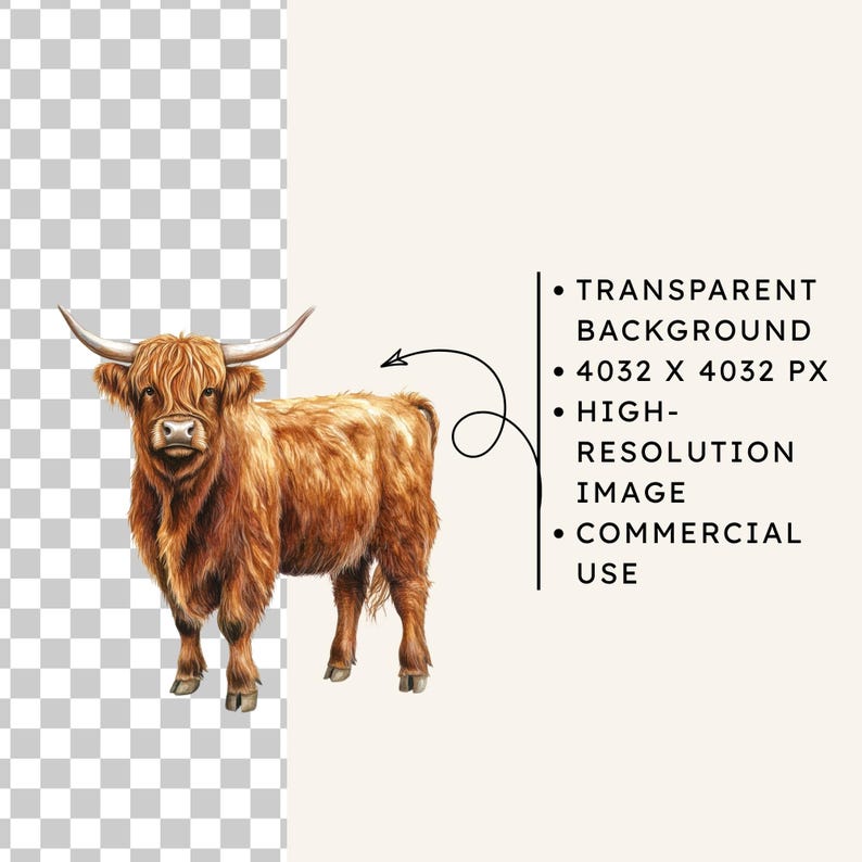 Watercolor Highland Cow Clipart, 45 PNG Images, Farm Animal ...
